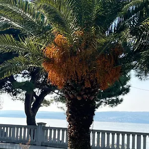 Apartment Right On The, Crikvenica